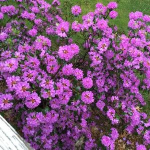 Meet your Posher, Alexandra